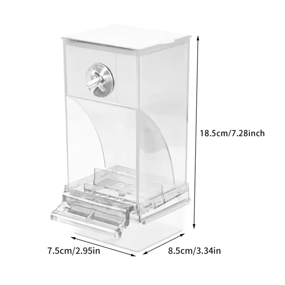 Parrot Feeder Anti-Spill Transparent Bird Food Box Clear Feeding Device for Parrots Durable Bird Feeder