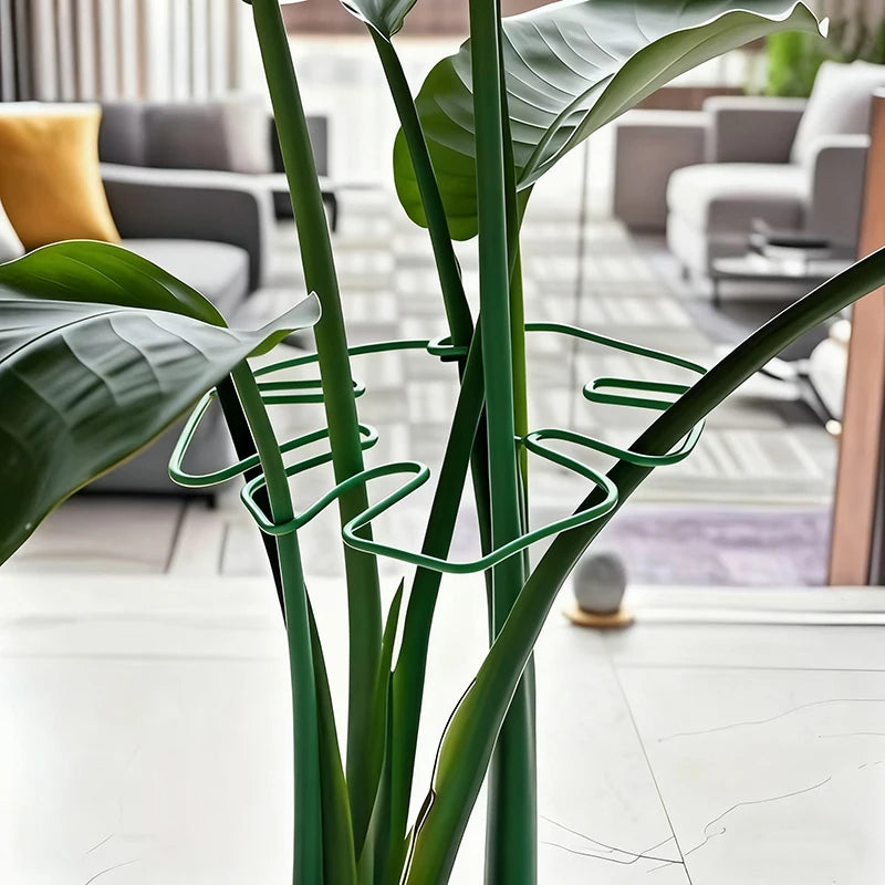 Plant Stem Support - Durable Metal Monstera Stabilizer and Climbing Plant Trainer for Garden Growth