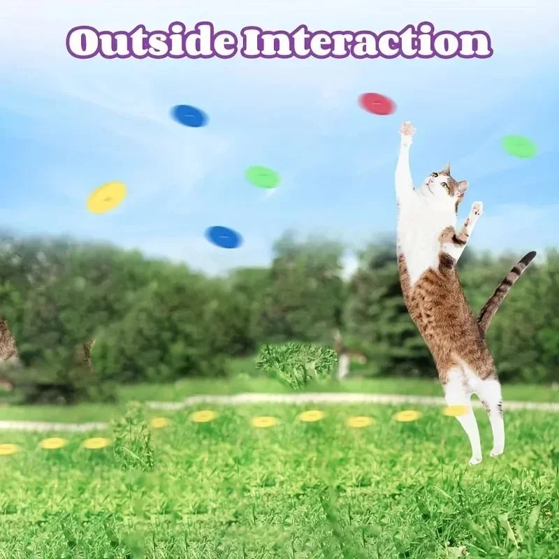 Funny Turnip Gun Cat Toy with Reusable Foam Frisbees, Interactive Hunting Toy for Dogs & Cats