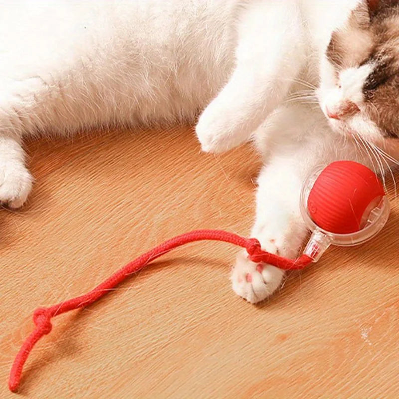 Automatic Interactive Cat Ball Toy, Rechargeable Smart Electric Rolling Ball with Faux Tail Mouse for Dog & Cat Training