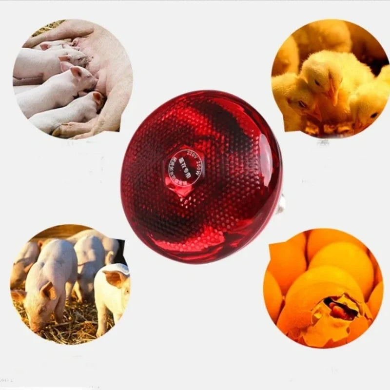 E27 Poultry Heating Lamp Breeding Bulb, LED Brooder Hatch Chick Heater Bulb for Piglets