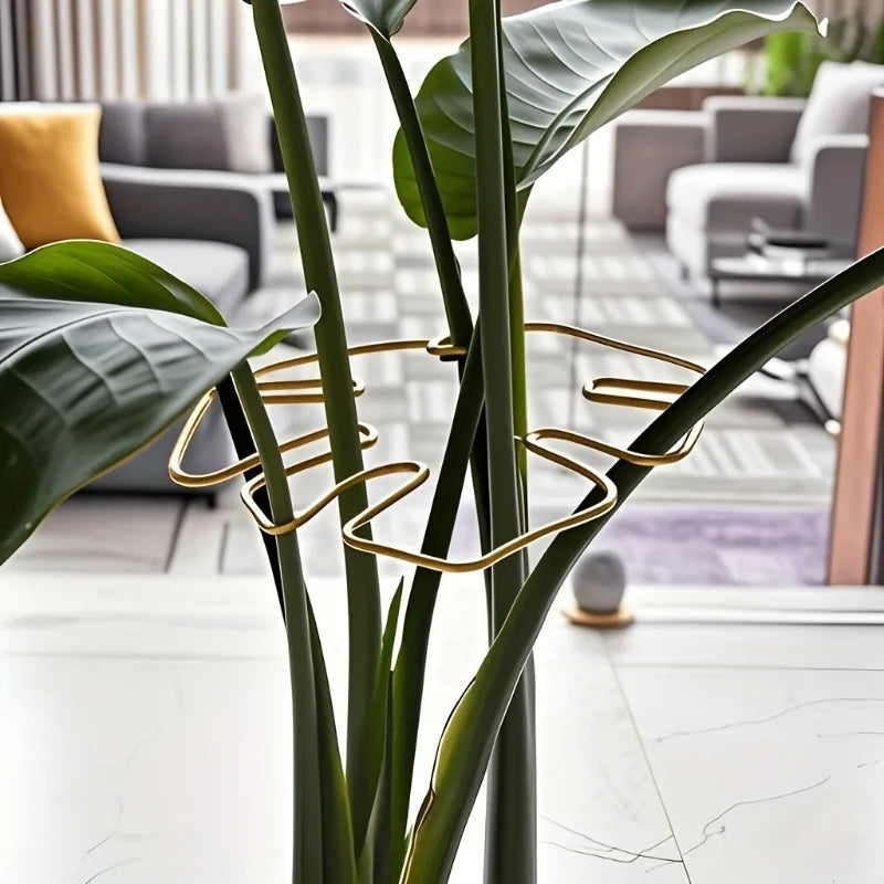 Plant Stem Support - Durable Metal Monstera Stabilizer and Climbing Plant Trainer for Garden Growth