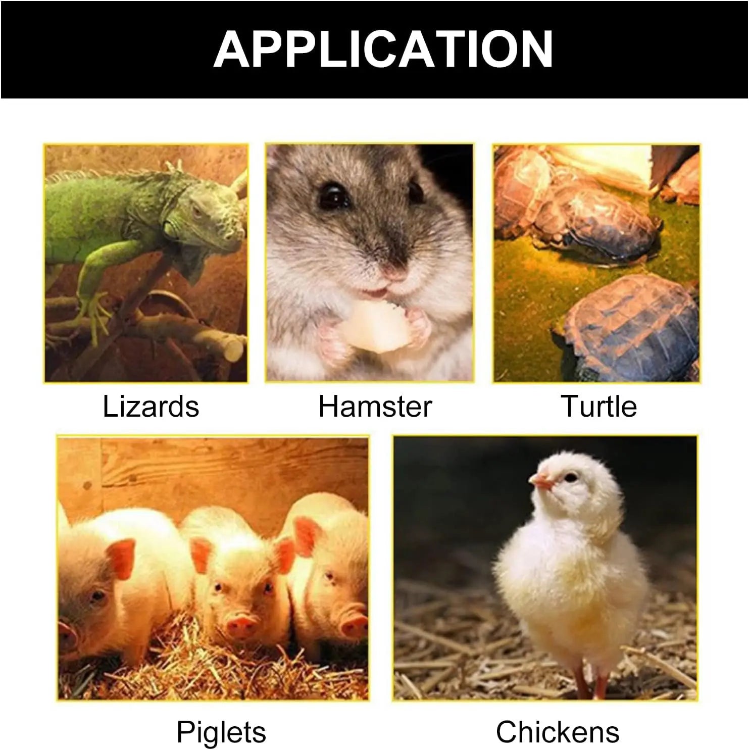 Chicken Heating Lamp with Temperature Controller, Warm Light Heater for Piglet, Duck & Incubator Farms