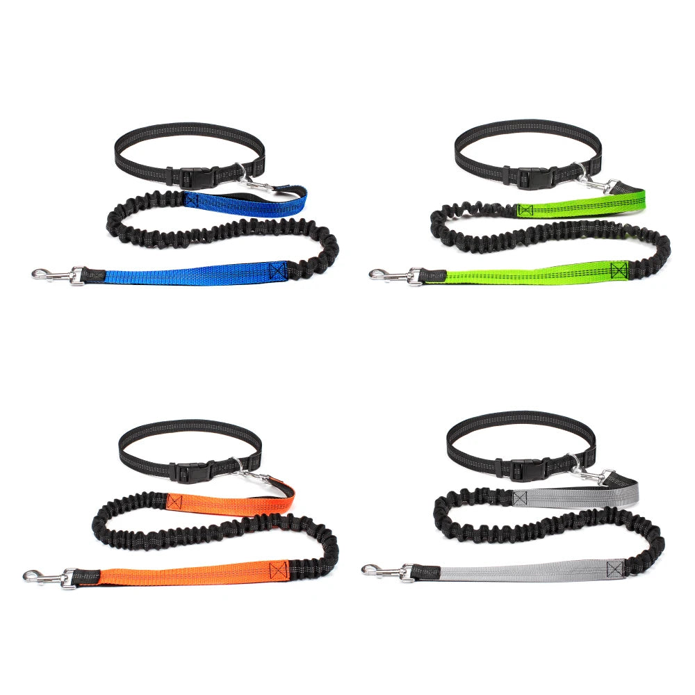 Hands-Free Dog Leash with Adjustable Waist Belt & Chest Strap for Walking Running Jogging