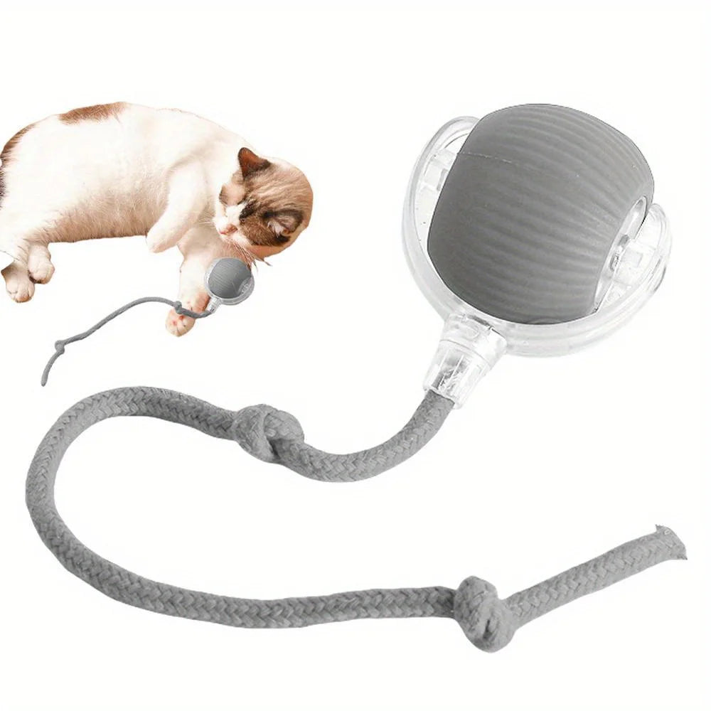 Automatic Interactive Cat Ball Toy, Rechargeable Smart Electric Rolling Ball with Faux Tail Mouse for Dog & Cat Training