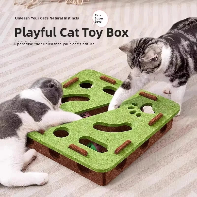 Cat Puzzle Toy, Felt Puzzle Box with Ball, Indoor Exercise & Hunting Toy for Cats