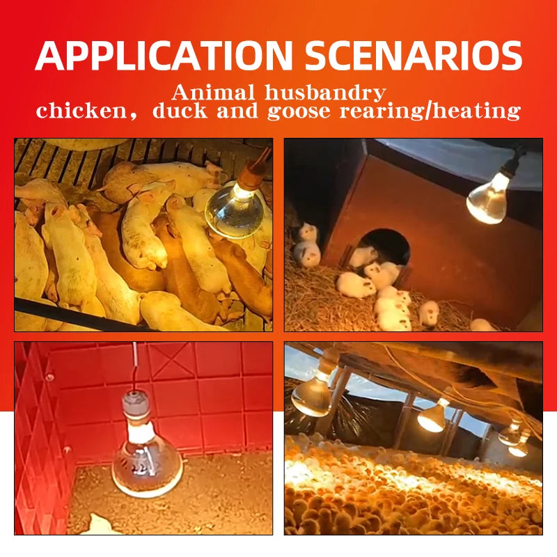 E27 Poultry Heating Lamp Breeding Bulb, LED Brooder Hatch Chick Heater Bulb for Piglets