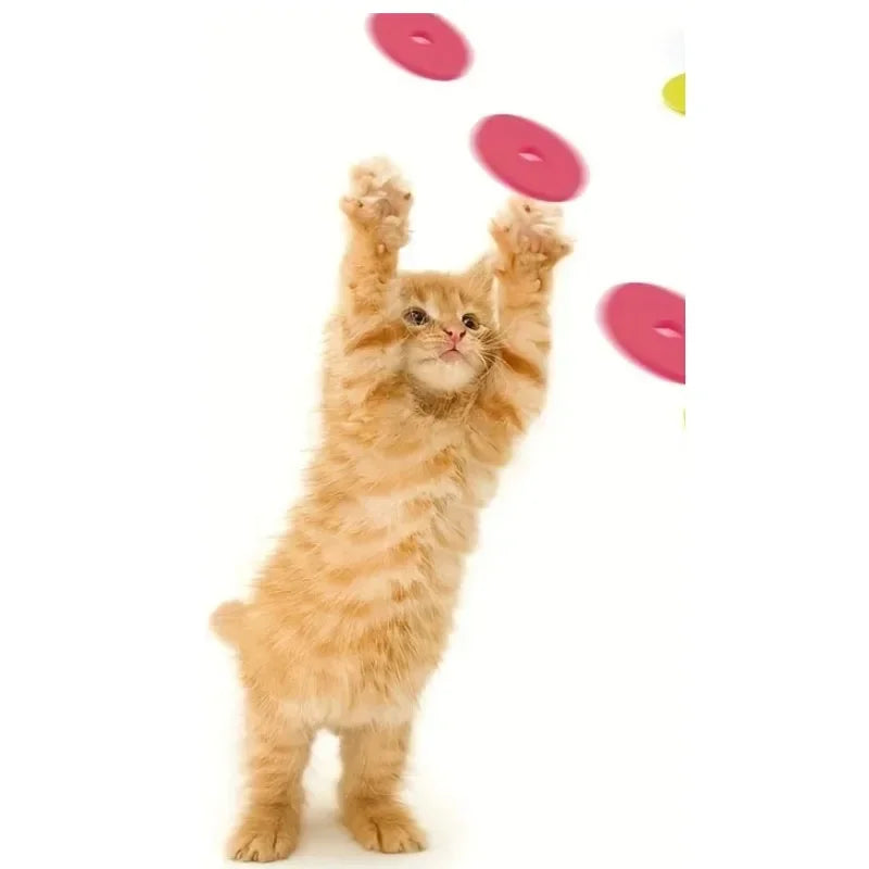 Funny Turnip Gun Cat Toy with Reusable Foam Frisbees, Interactive Hunting Toy for Dogs & Cats