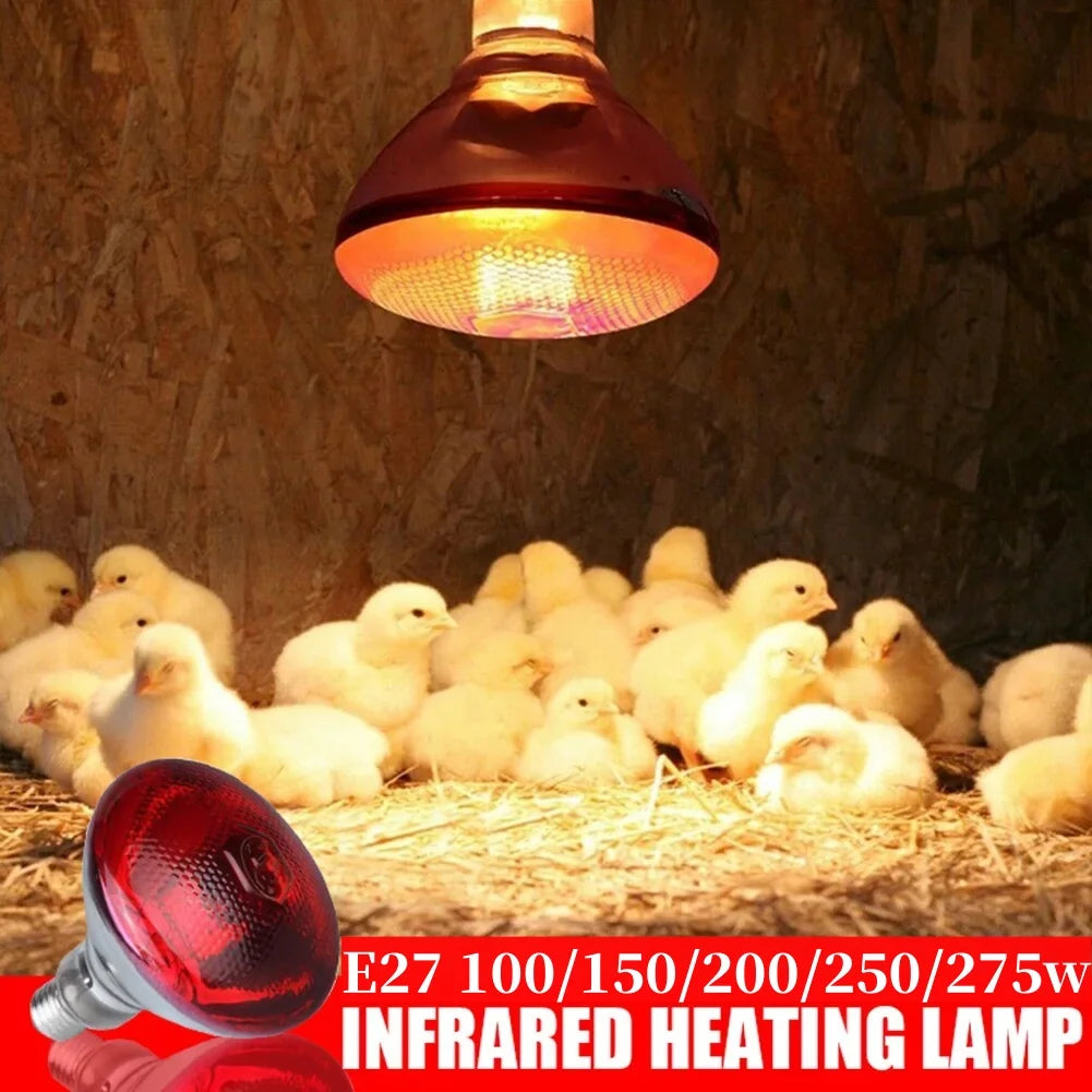 E27 Poultry Heating Lamp Breeding Bulb, LED Brooder Hatch Chick Heater Bulb for Piglets