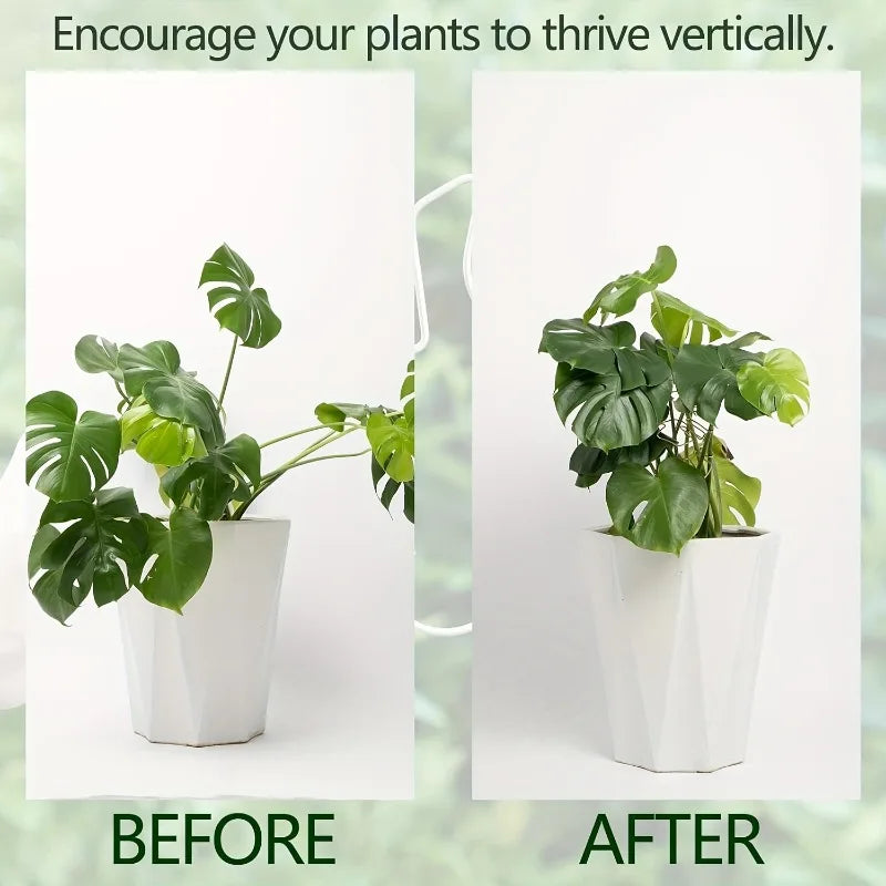 Plant Stem Support - Durable Metal Monstera Stabilizer and Climbing Plant Trainer for Garden Growth