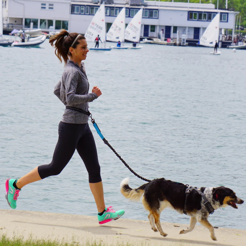 Hands-Free Dog Leash with Adjustable Waist Belt & Chest Strap for Walking Running Jogging