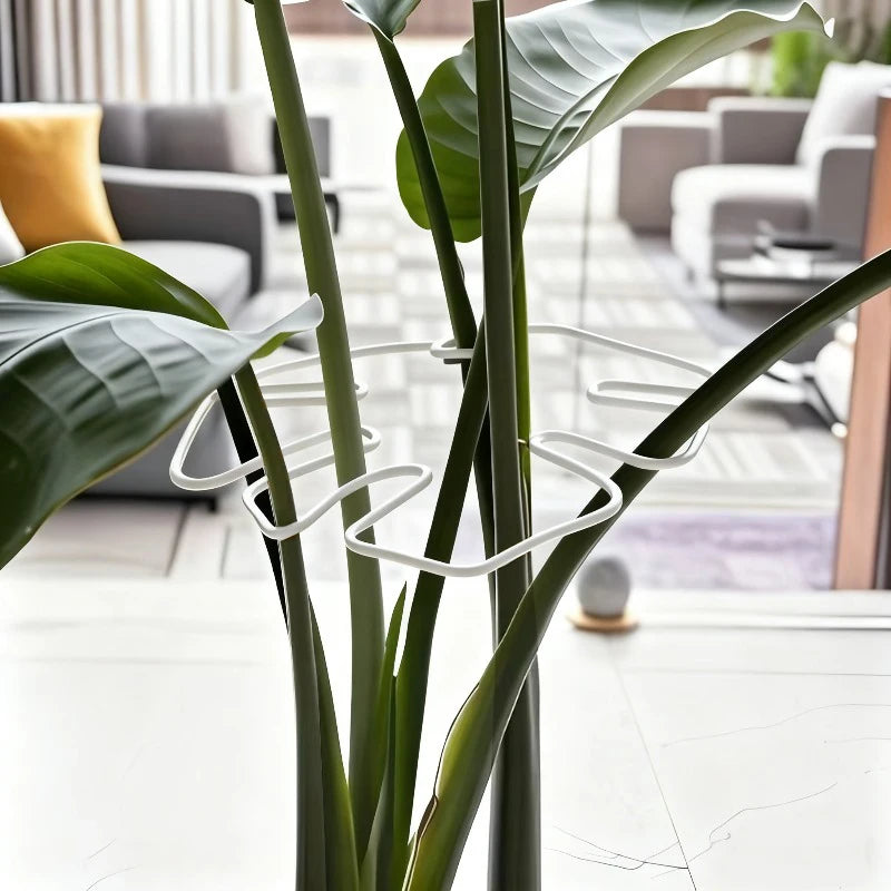 Plant Stem Support - Durable Metal Monstera Stabilizer and Climbing Plant Trainer for Garden Growth